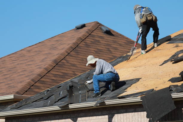 Best Asphalt Shingle Roofing  in Strafford, MO