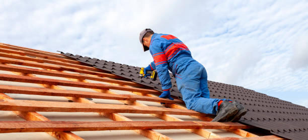 Best Roof Moss and Algae Removal  in Strafford, MO